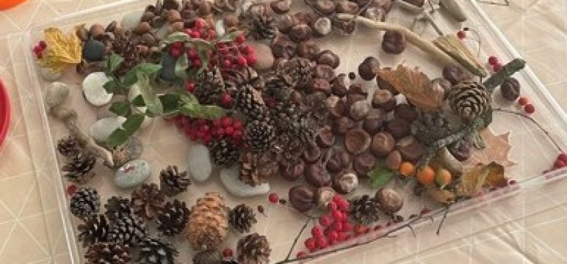 GAMTOS RADINIŲ KRAITELĖ