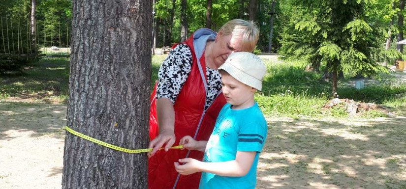 Taurų nuotykių parke 
