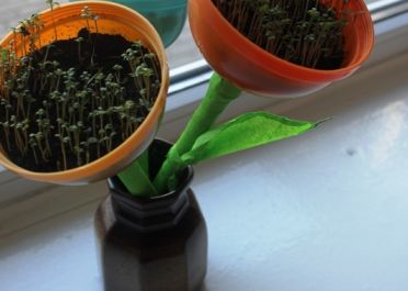 Augalų, išaugintų ant palangės ir kūrybinių darbelių  paroda Pavasaris ant palangės